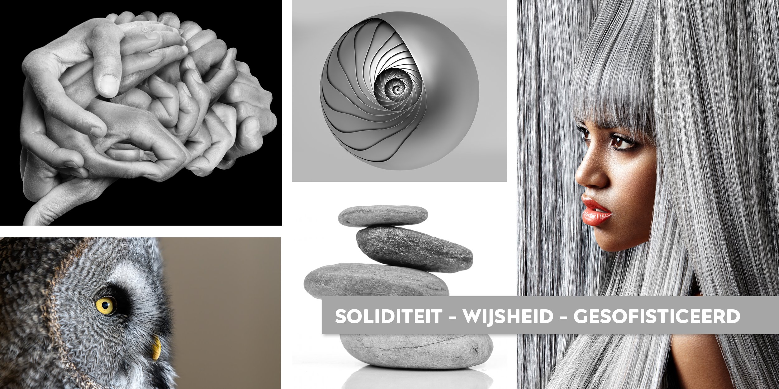 Grijs = Soliditeit - Wijsheid - Gesofisticeerd