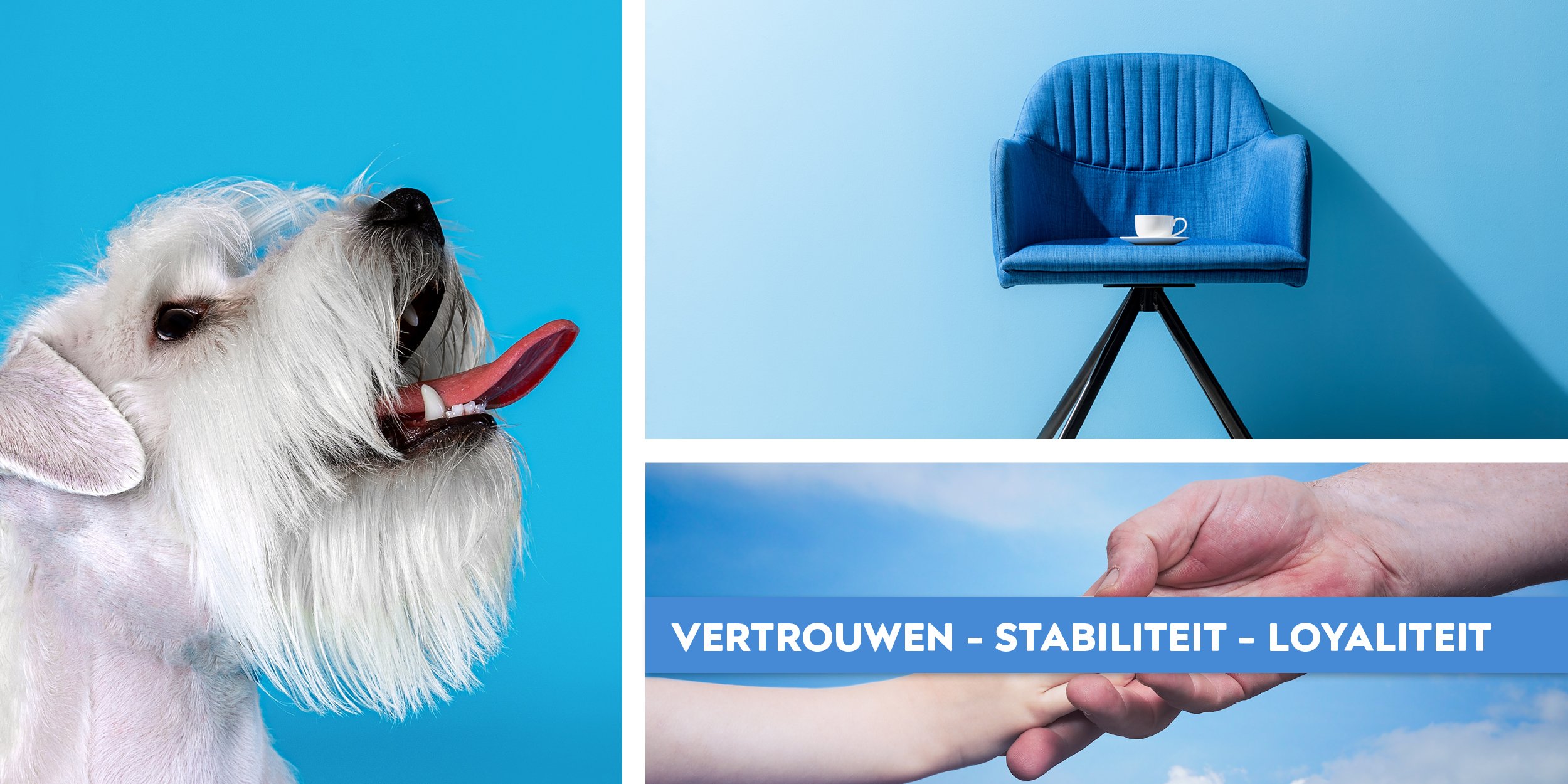 Blauw = Vertrouwen - Stabiliteit - Loyaliteit