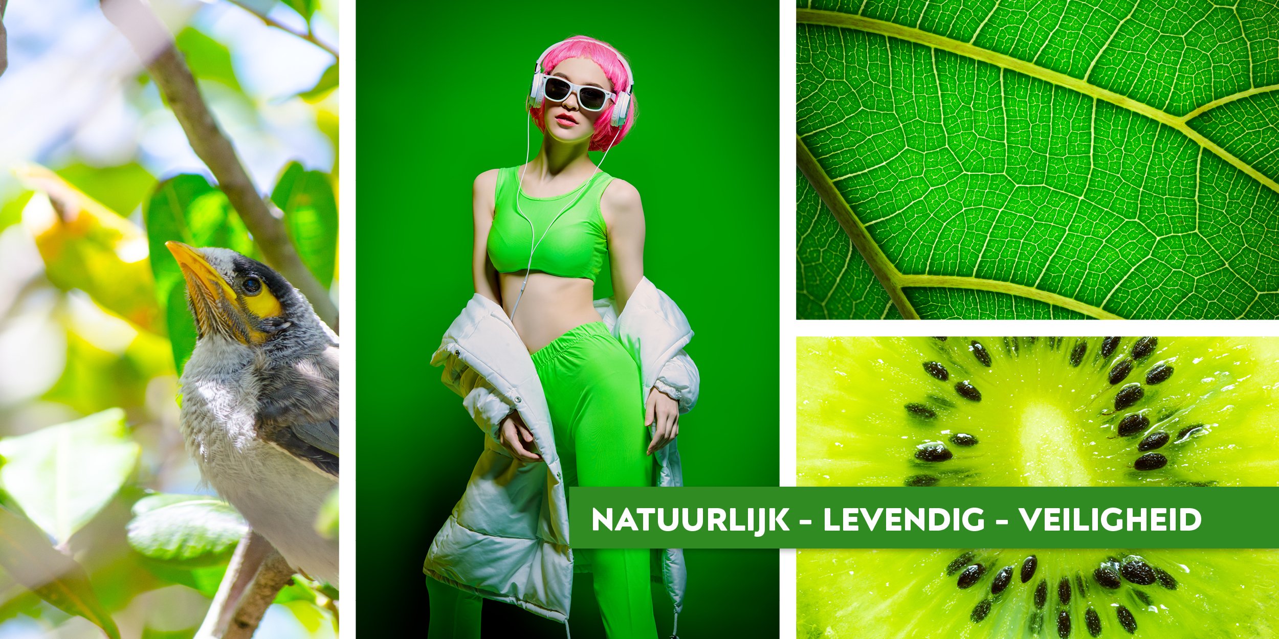 Groen = Natuurlijk - Levendig - Veiligheid